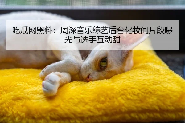 吃瓜网黑料：周深音乐综艺后台化妆间片段曝光与选手互动甜